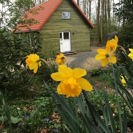 Ferienhof Ohlenbusch Worpswede Eksteriør billede