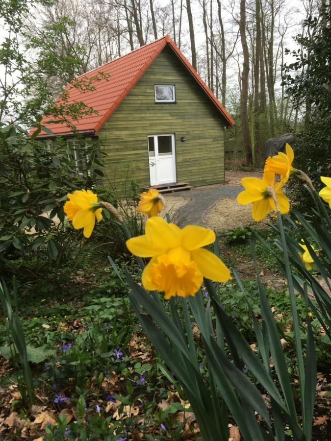 Ferienhof Ohlenbusch Worpswede Eksteriør billede